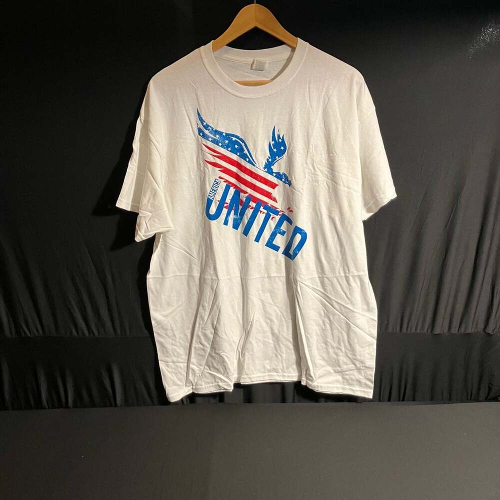 America United Eagle and American Flag Graphic T-Shirt